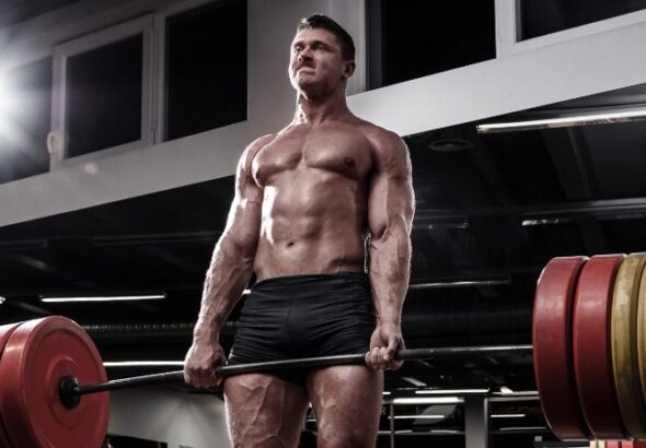 Ultima-TNE 100 online