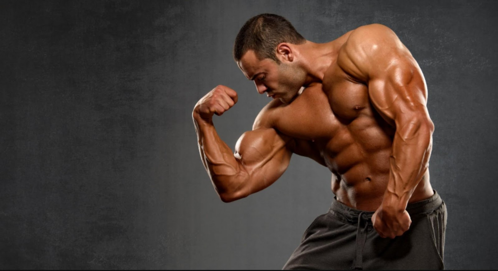 Pro-Anadrol (Extra) for Sale oral anabolic steroid for bulking and mass gains from OSGear.to